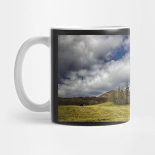 Belief in Solitude Mug